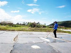 Làm muối ở Tĩnh Gia, Thanh Hóa.